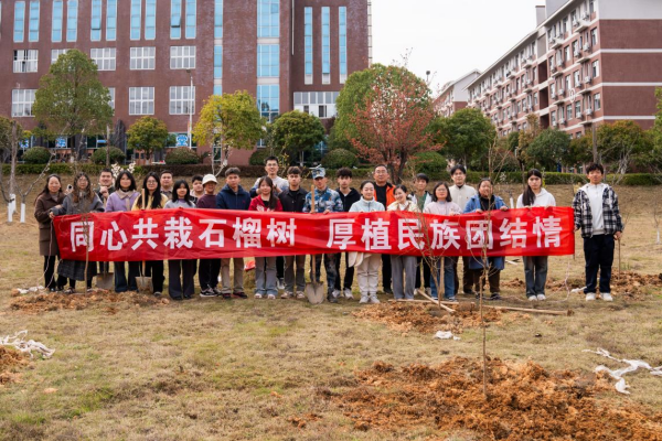 图片11.png 图片11.png