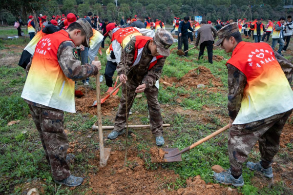 图片14.png 图片14.png